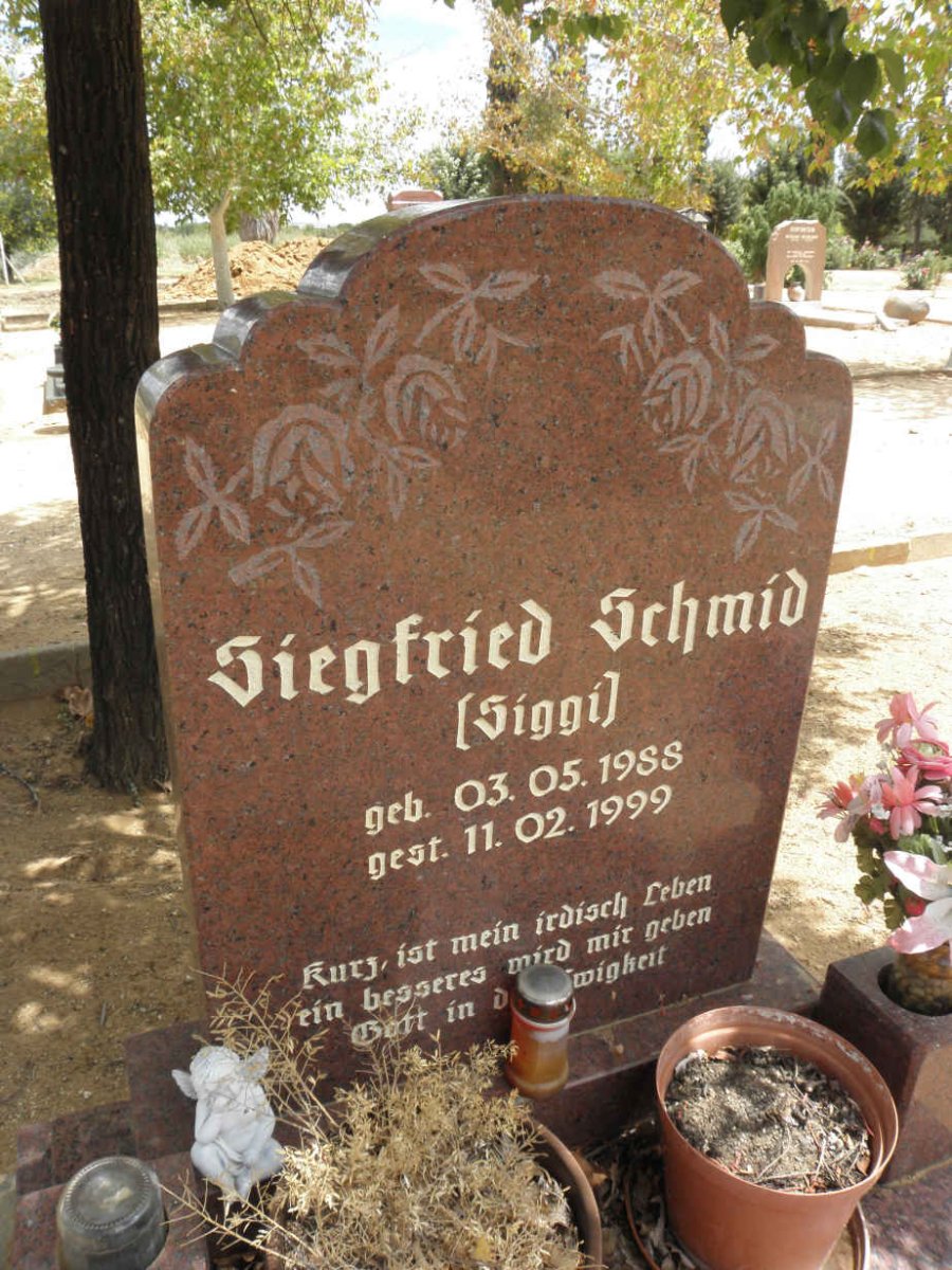 SCHMID Siegfried 1988-1999