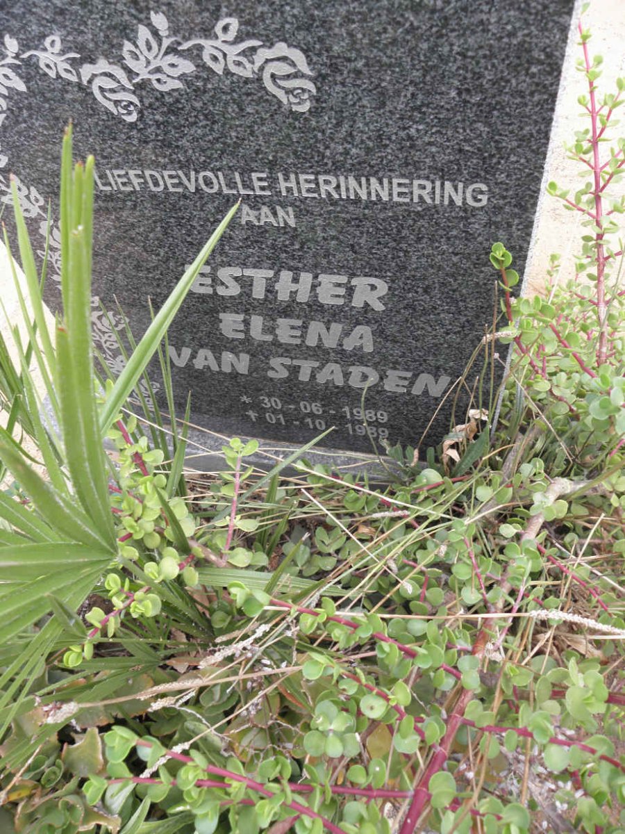STADEN Esther Elena, van 1989-1989
