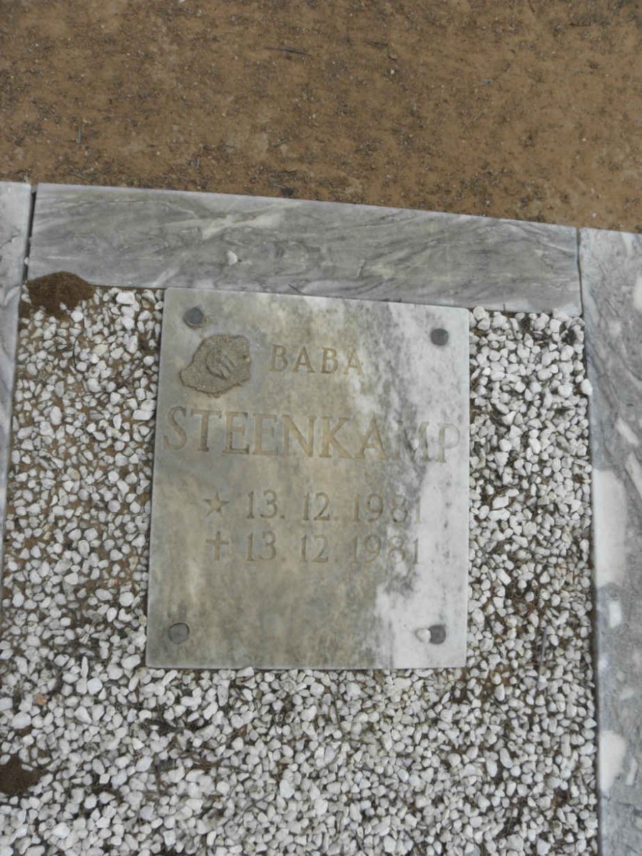STEENKAMP 1981-1981