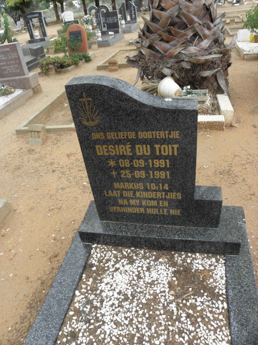 TOIT Desire, du 1991-1991