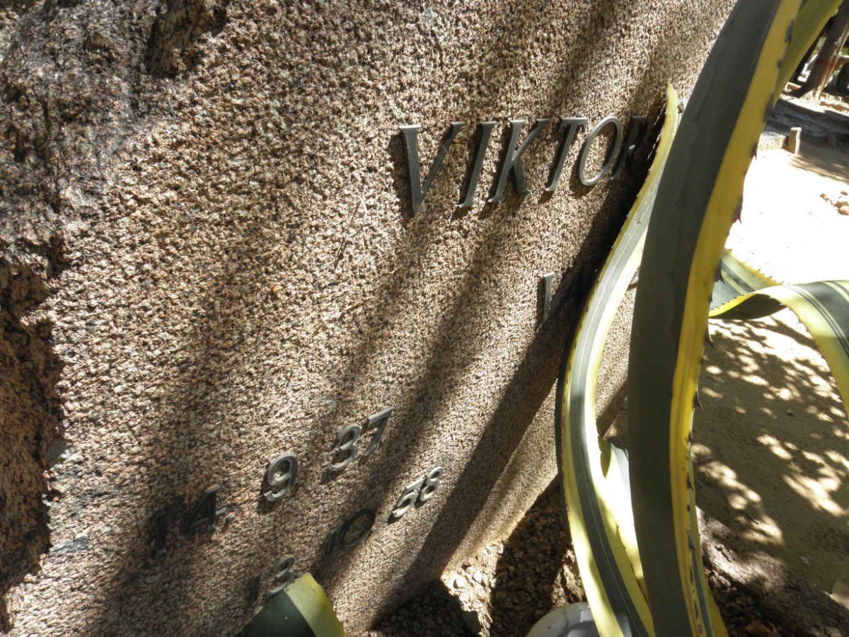 VAATZ Viktor 1937-1958