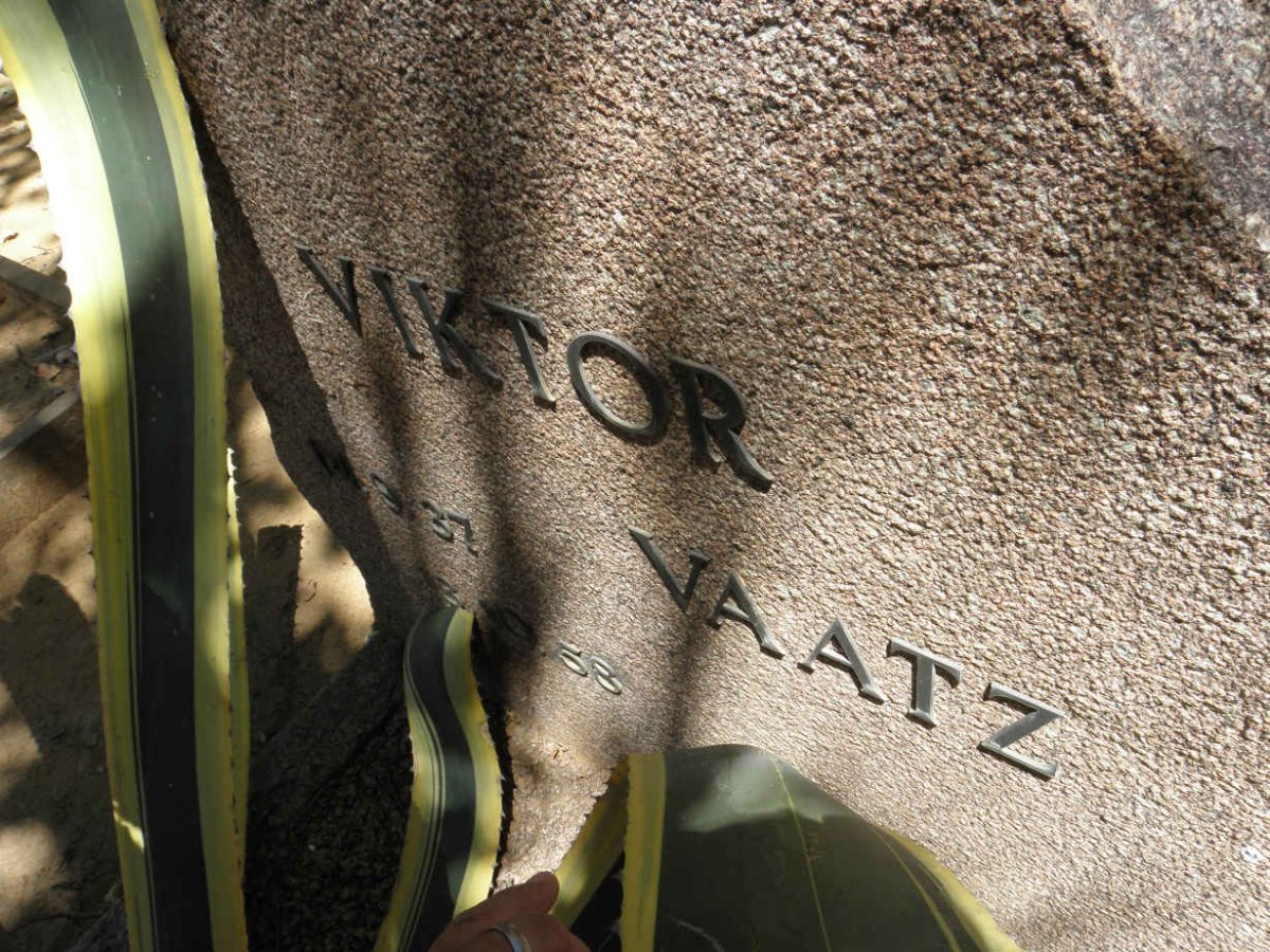 VAATZ Viktor 1937-1958