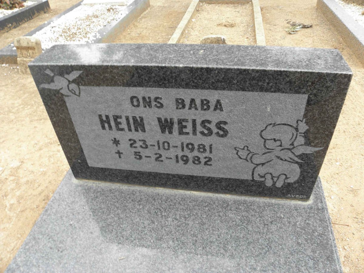 WEISS Hein 1981-1982