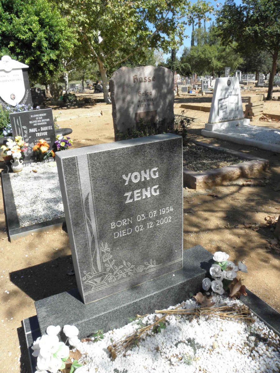 ZENG Yong 1954-2002