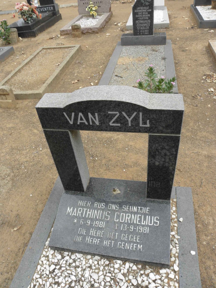 ZYL Marthinus Cornelius, van 1981-1981
