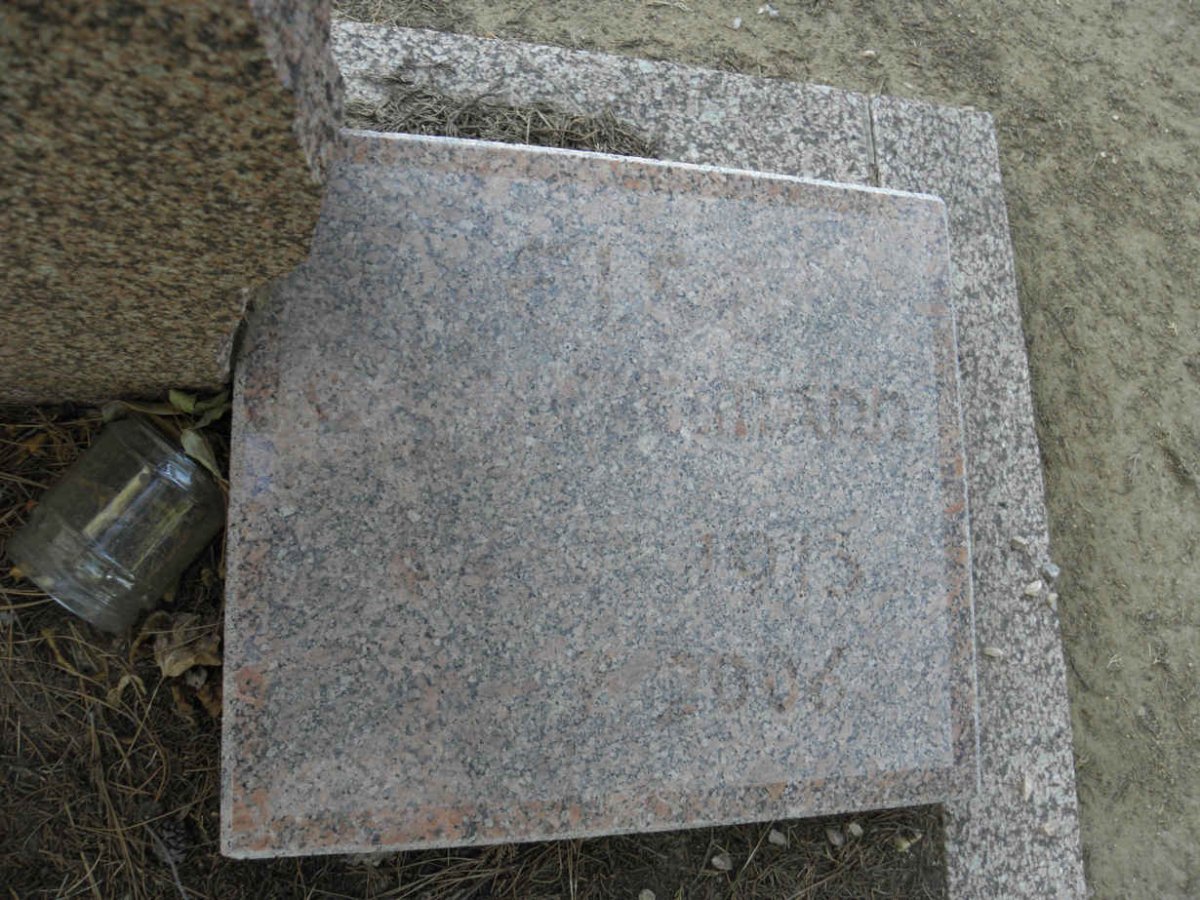 ?MANN ? 1973-2006
