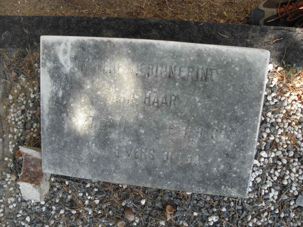 ? 1941-1969