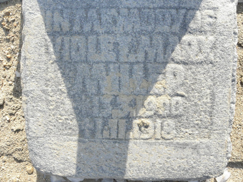 MILLER Violet Marx 1908-1918