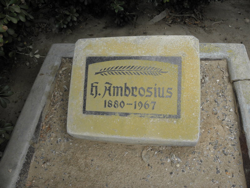AMBROSIUS H. 1880-1967