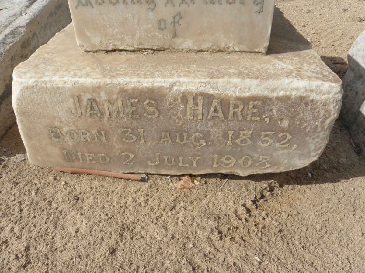 HARE James 1852-1908