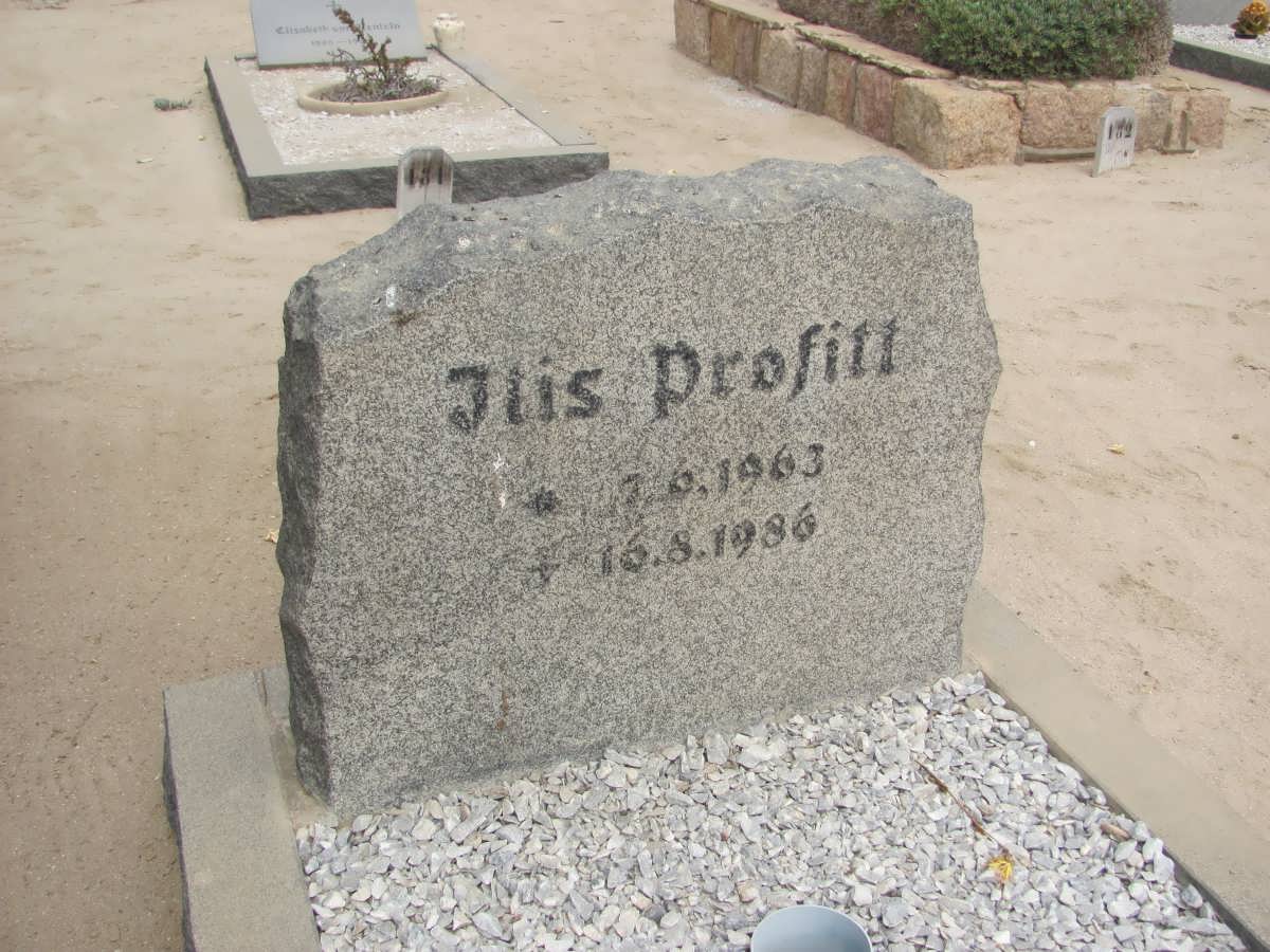 PROFITT Itis 1963-1986