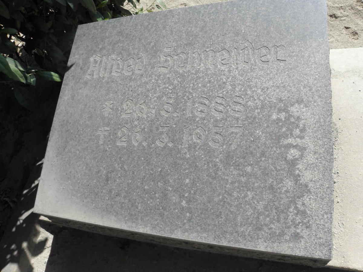 SCHNEIDER Alfred 1888-1957