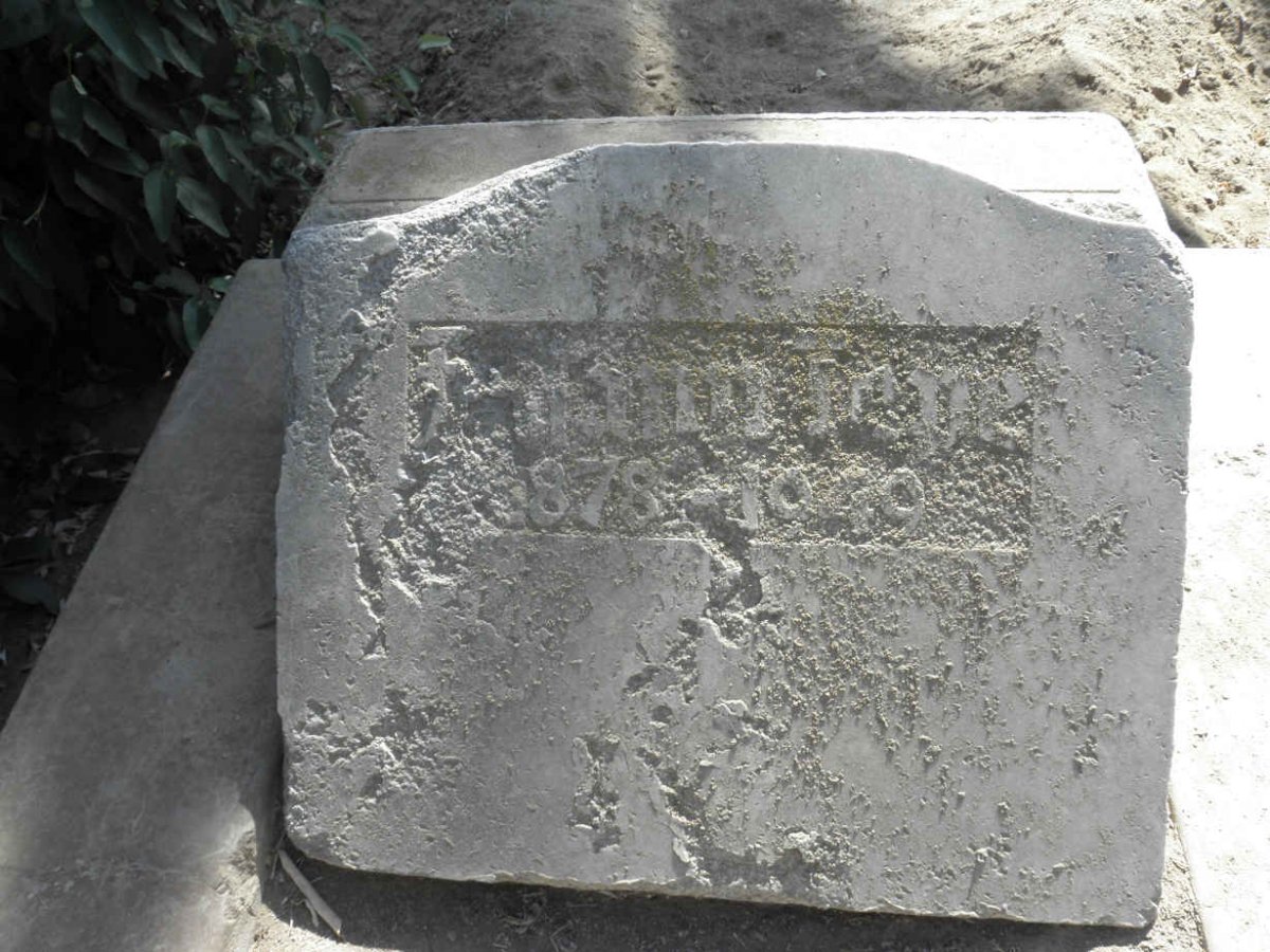 TENE ? 1878-1949