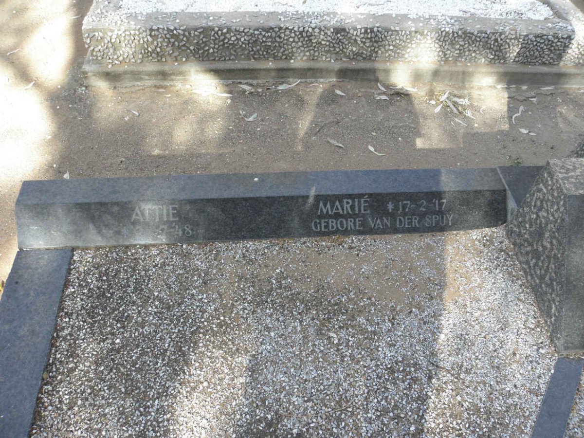 BASSON Marie nee VAN DER SPUY 1917-1963 :: BASSON Dirkie 1948-1963 :: BASSON Attie 1948-1963 :: BASSON Marietjie 1957-1963