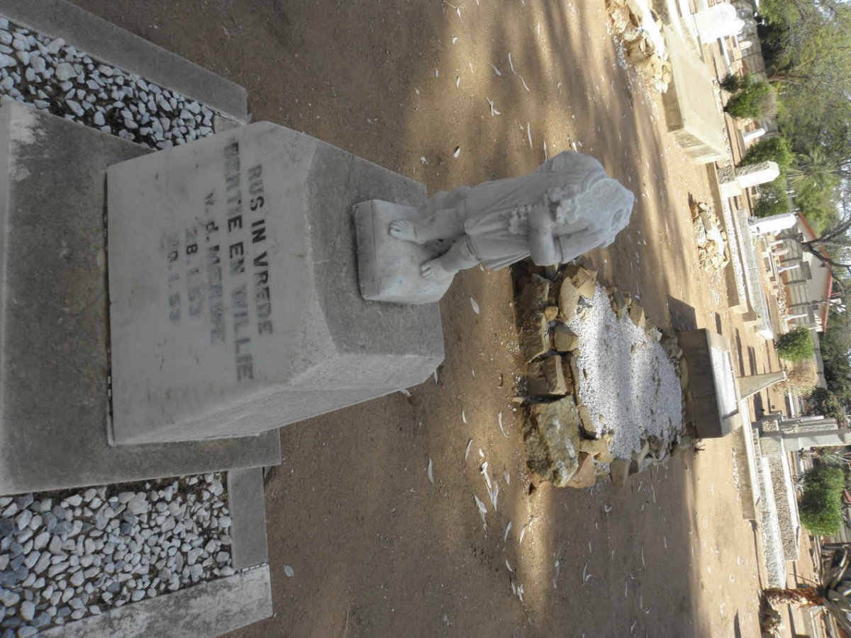 MERWE Bertie, van der 1953-1953 :: VAN DER MERWE Willie 1953-1953