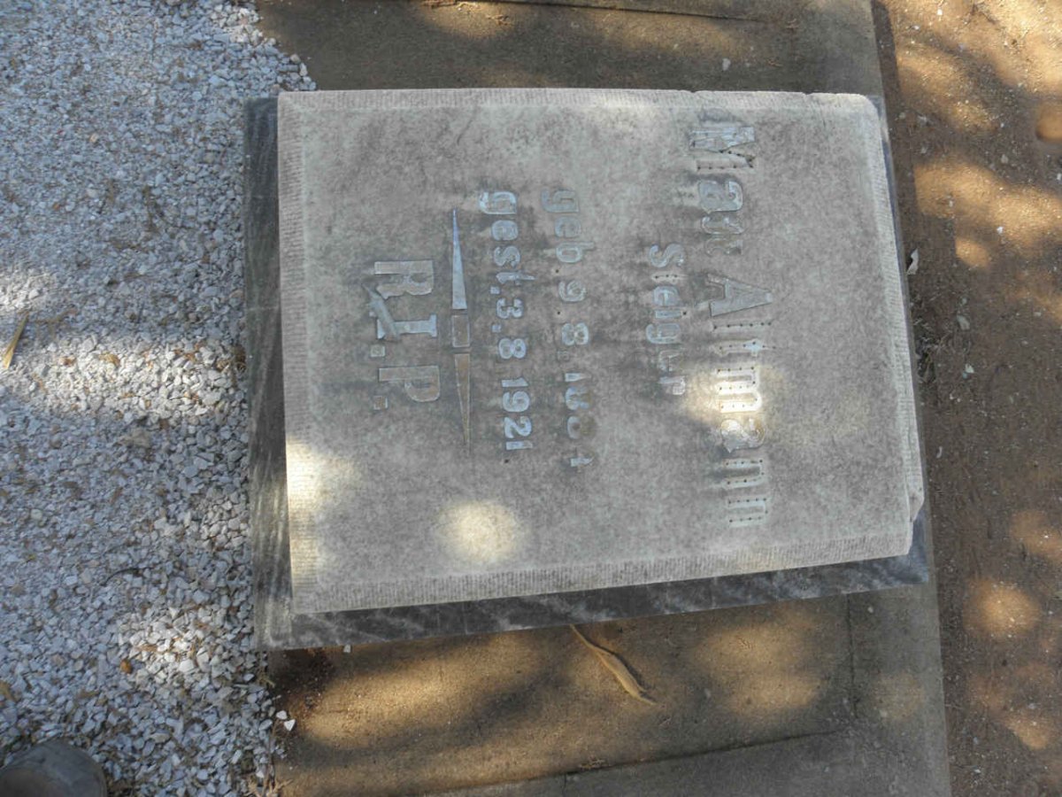 STEIGER Max Altmann 1884-1921