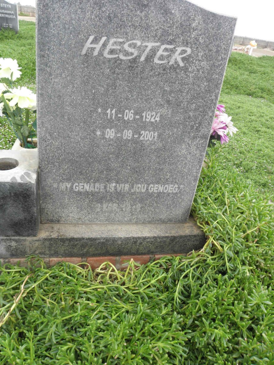 HEEVER Hester, van den 1924-2001