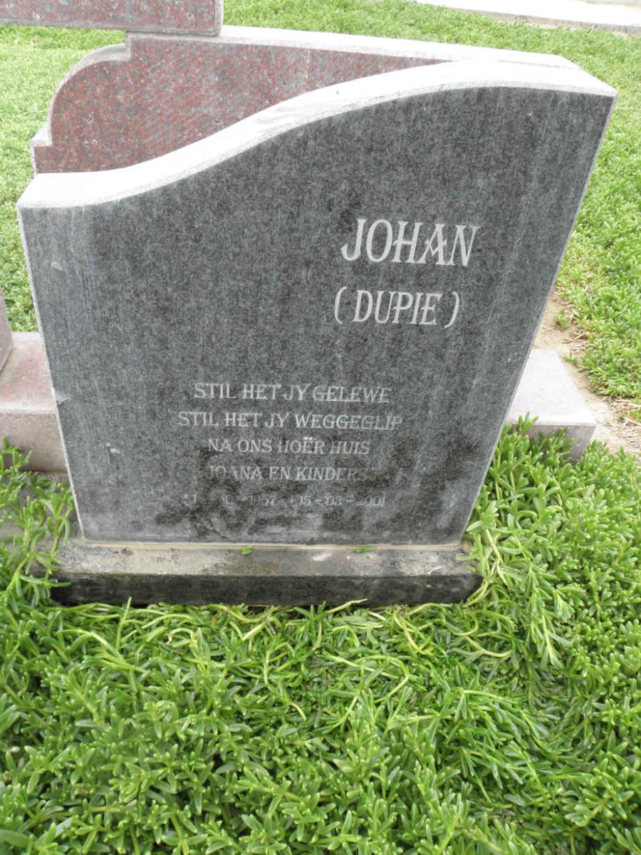 PLESSIS Johan, du 1952-2001
