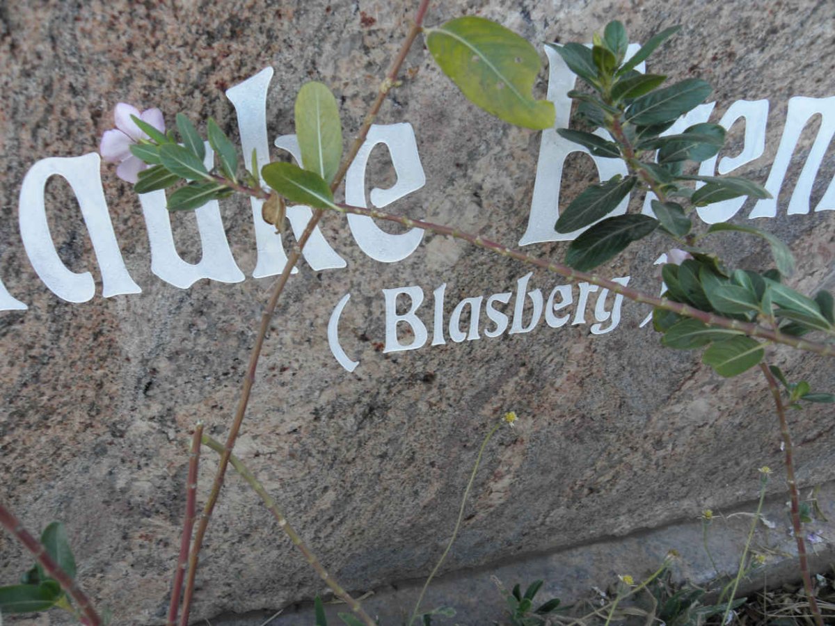 BRENNER Frauke BLASBERG