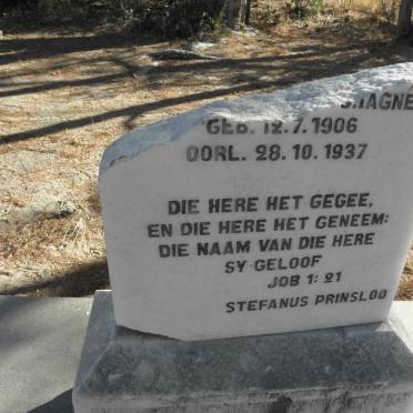 ?AGNE 1906-1937