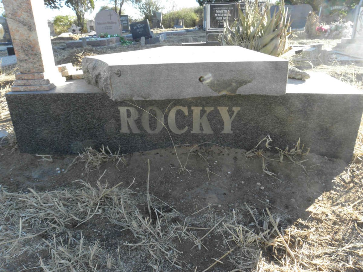 ? ROCKY