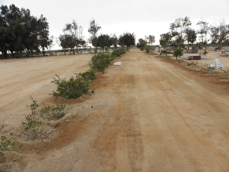 3. Overview