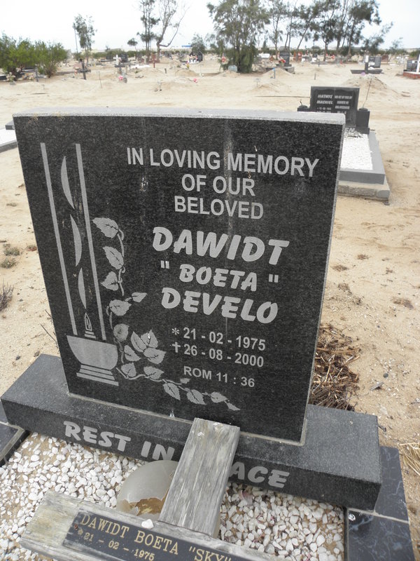 DEVELO Dawidt 1975-2000
