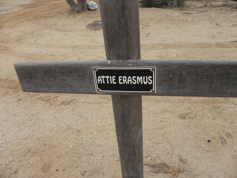 ERASMUS Attie