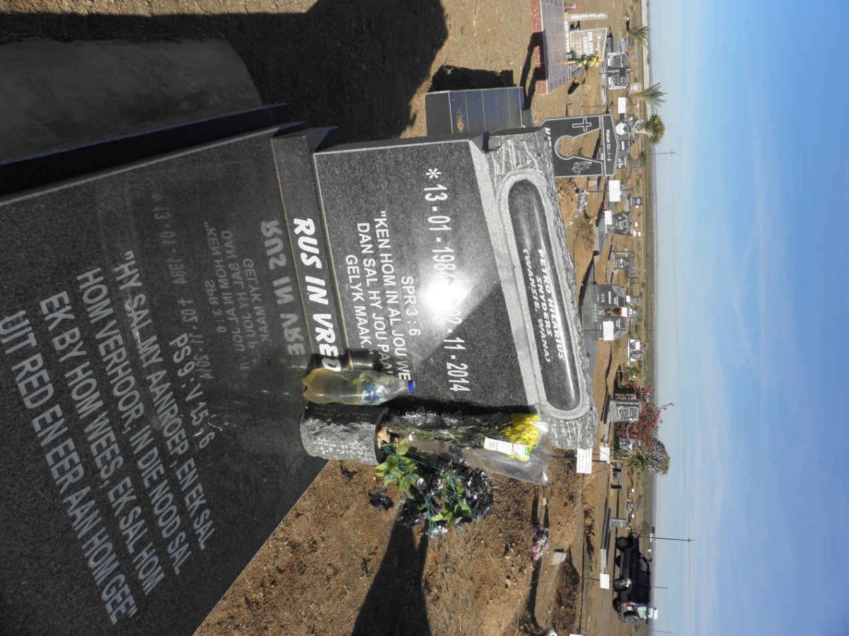 SNYDERS Petro Hilarius 1984-2014