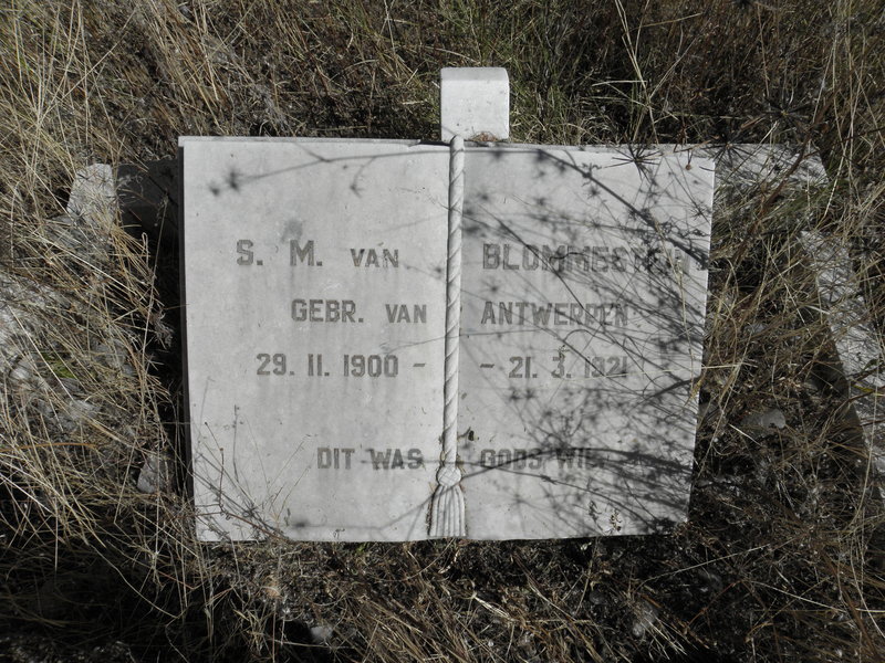 BLOMMESTEIN S.M., van nee VAN ANTWERPEN 1900-1921