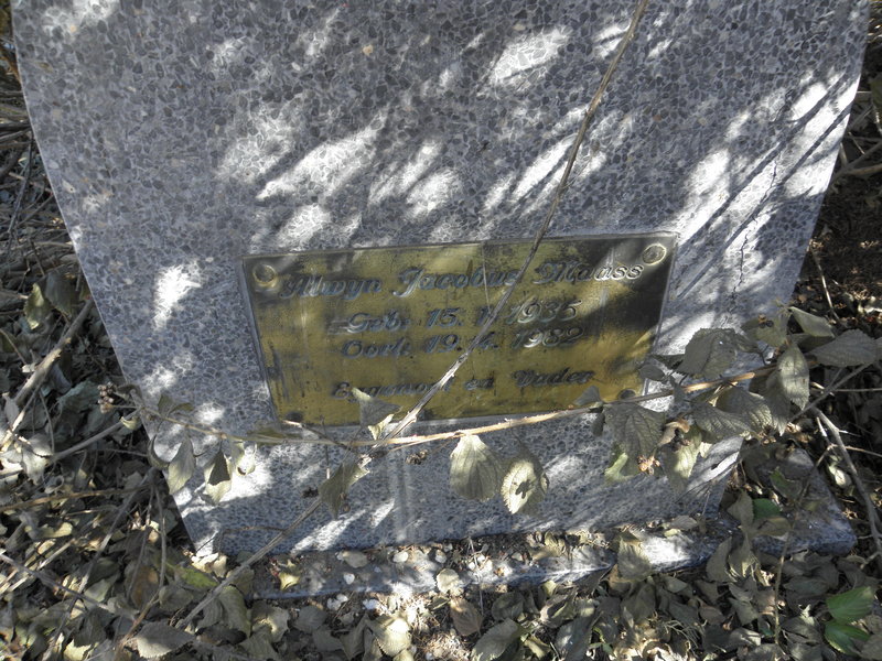 MAASS Alwyn Jacobus 1935-1982