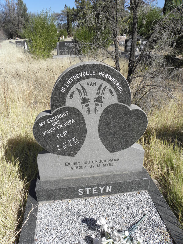 STEYN Flip 1937-1993