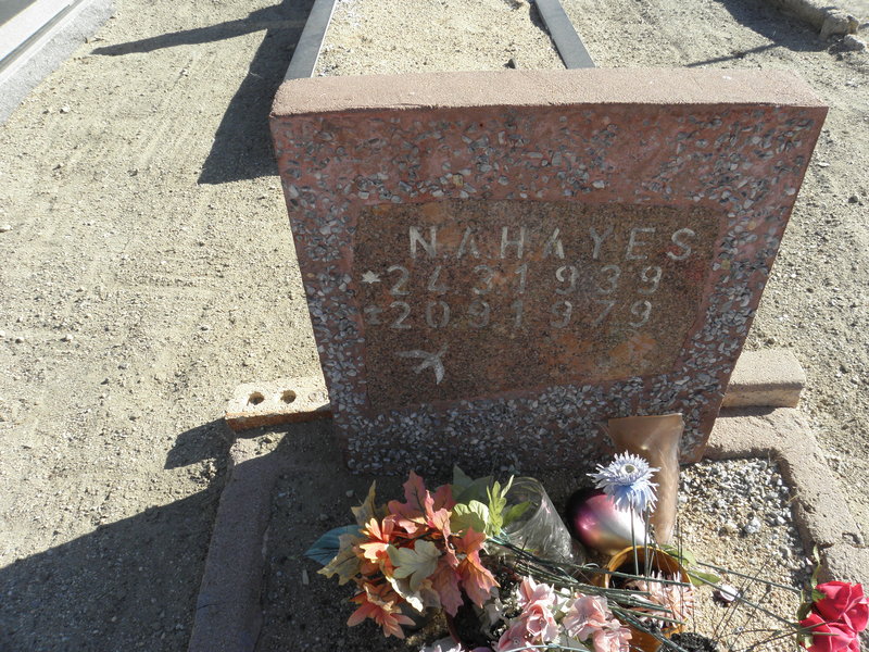 HAYES N.A. 1939-1979