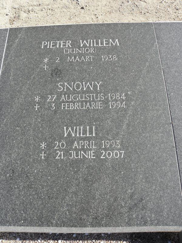PLESSIS Pieter Willem, du 1938- :: DU PLESSIS Snowy 1984-1994 :: DU PLESSIS Willi 1993-2007