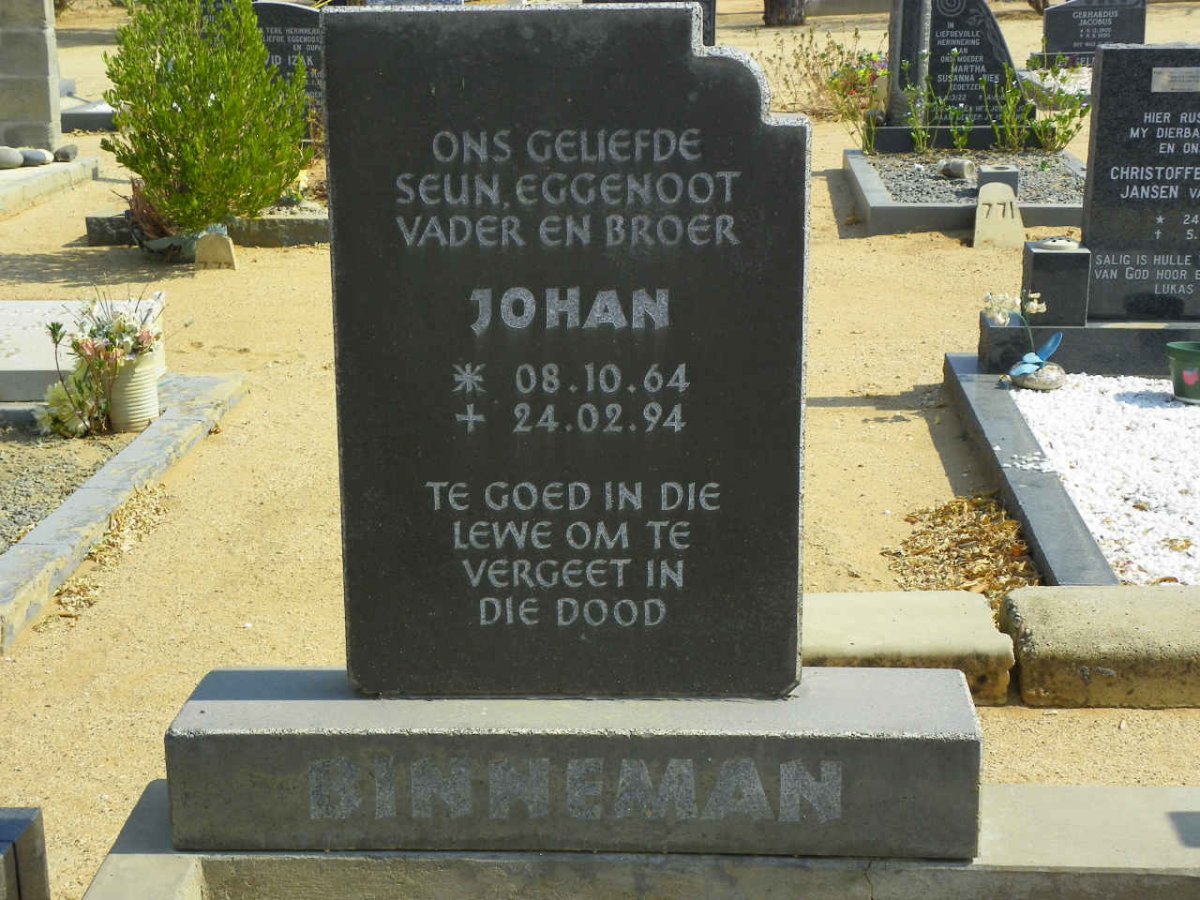 BINNEMAN Johan 1964-1994