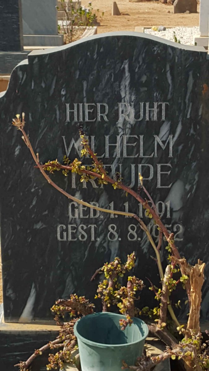 TRAUPE Wilhelm 1891-1952