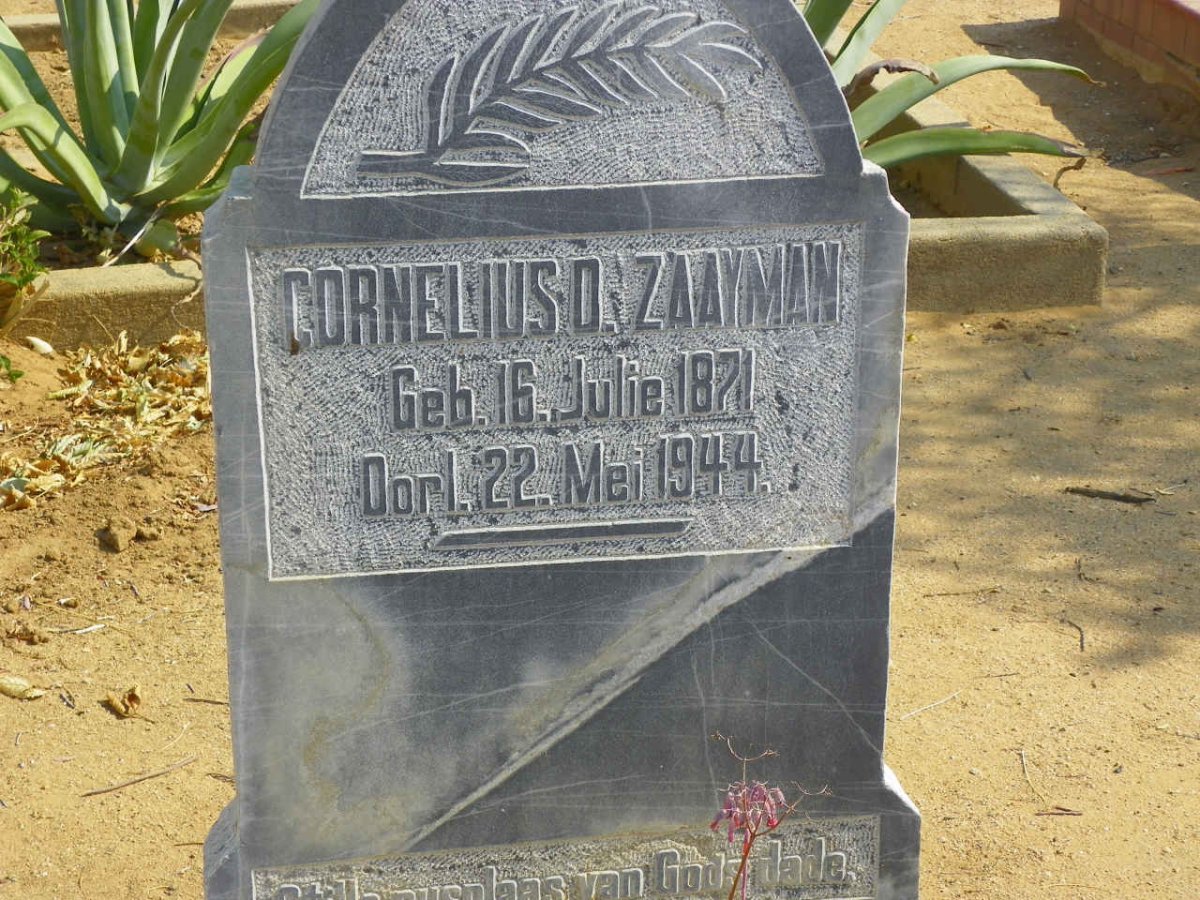 ZAAYMAN Cornelius D. 1871-1944