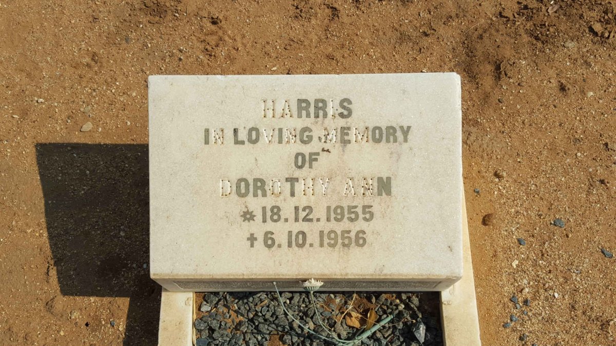 ? Dorothy Ann 1955-1956