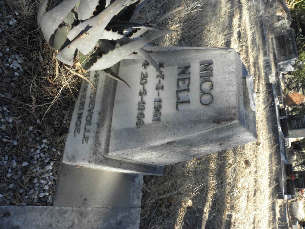 NELL Nico 1961-1966