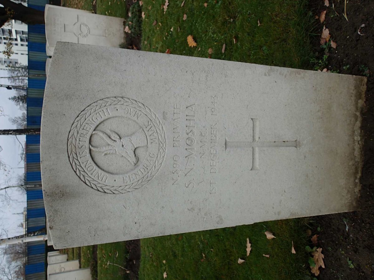 MOSHIA S.N. -1943