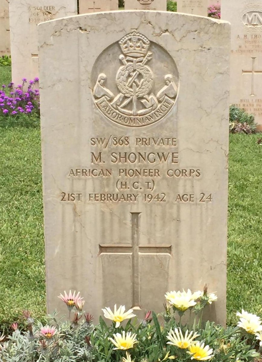 SHONGWE M. -1942