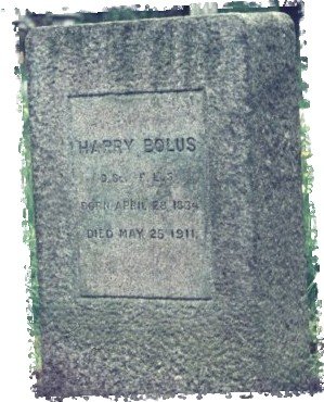 BOLUS Harry 1834-1911