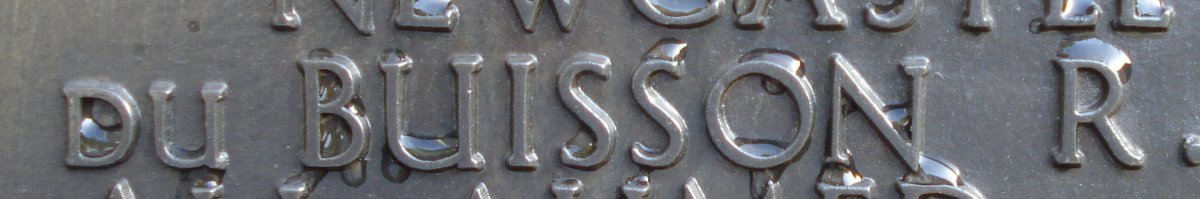 BUISSON R., du
