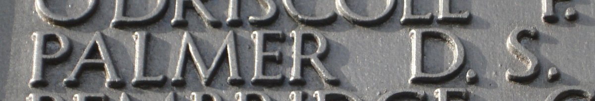 PALMER D.S.