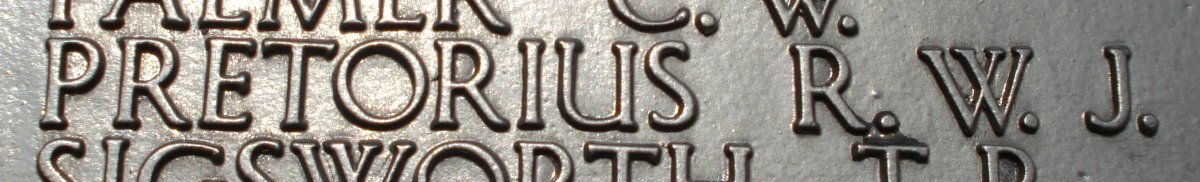 PRETORIUS R.W.J.