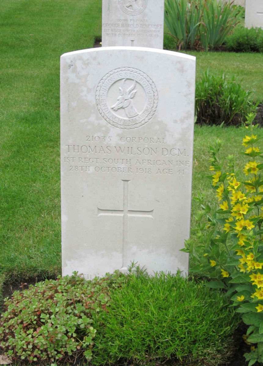 WILSON Thomas -1918