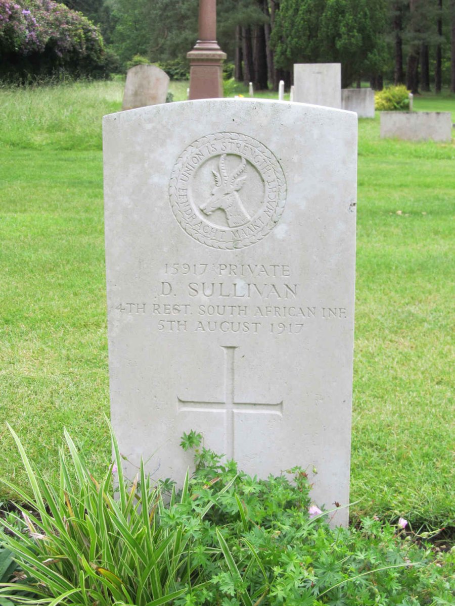 SULLIVAN D. -1917