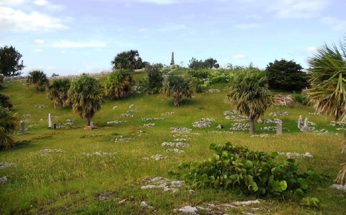 03. Overview