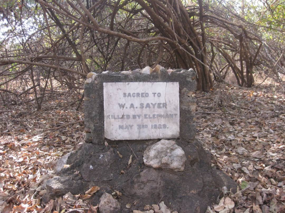 SAYER W.A. -1929