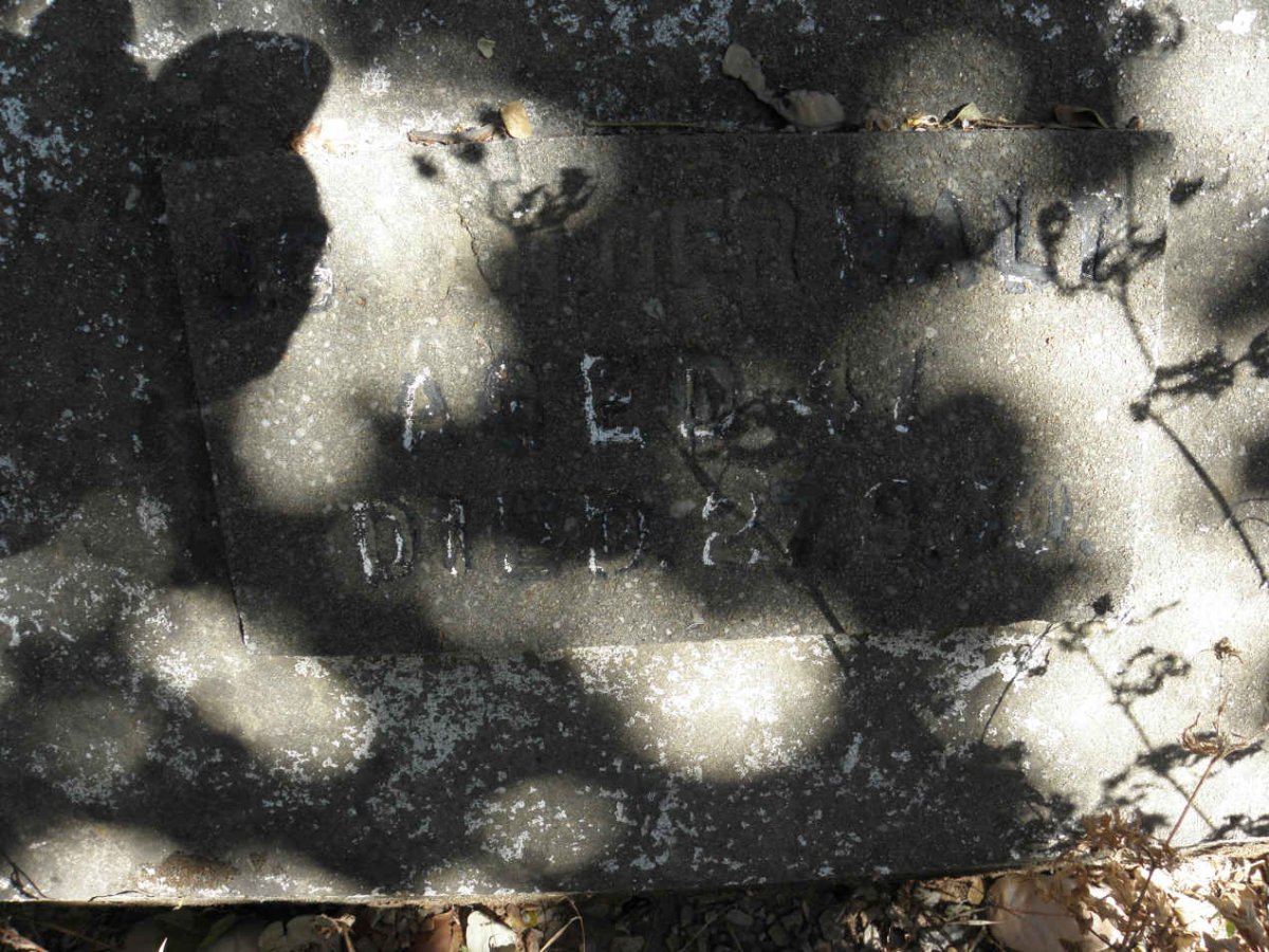 WALT ?G., van der -1930